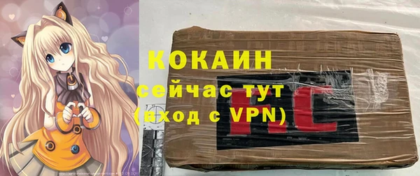 молекула духа Балахна