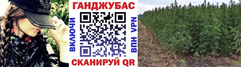 Марихуана OG Kush  Купить закладки  Анива 
